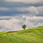 Farm Ana Visnja Gora