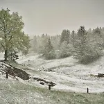 Farm Ana *