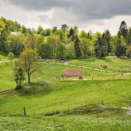 Farm Ana Visnja Gora
