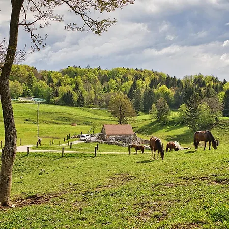 Apartamento Farm Ana *