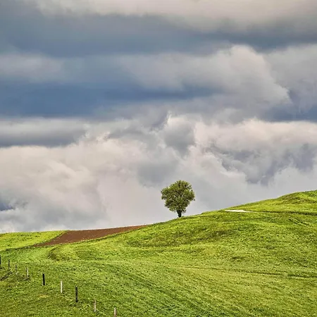 Farm Ana Visnja Gora