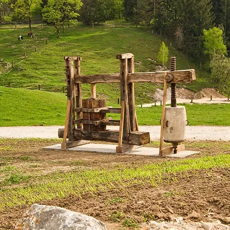 Farm Ana * Visnja Gora