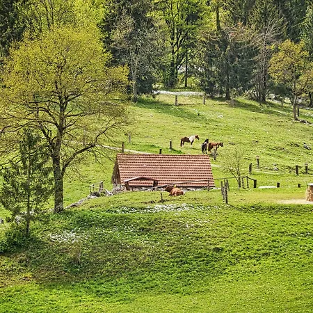 Farm Ana