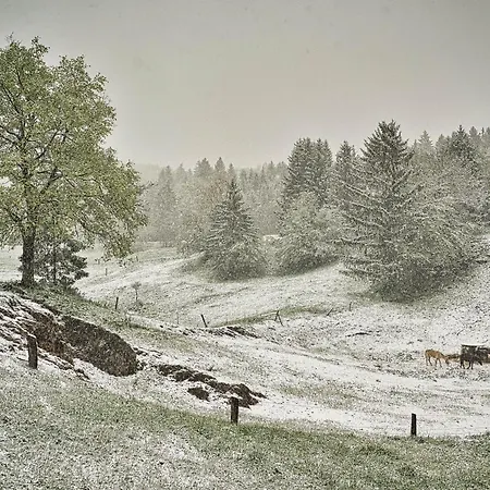 Farm Ana *