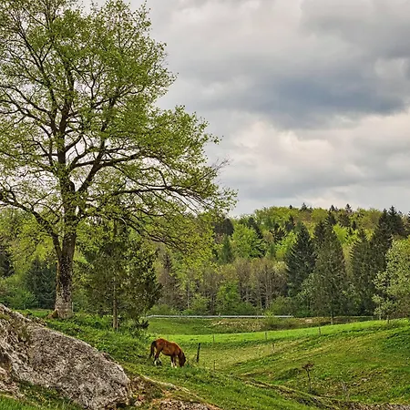 Farm Ana * Visnja Gora