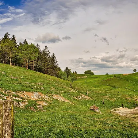 Farm Ana Appartement *