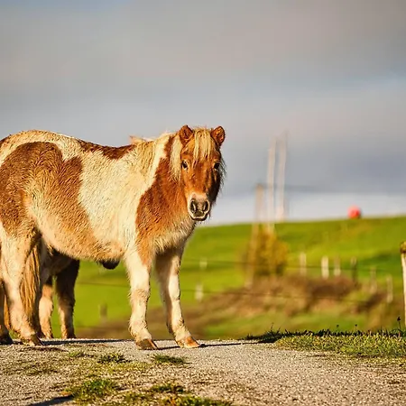 Farm Ana Visnja Gora