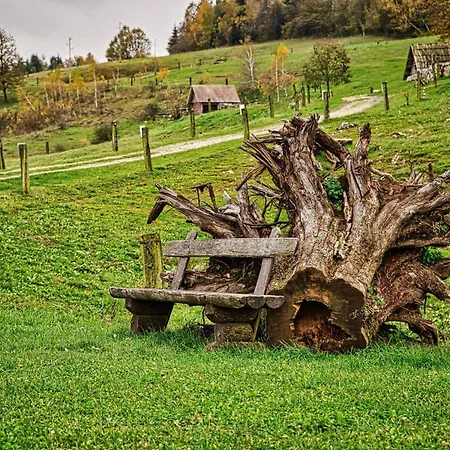 Appartement Farm Ana