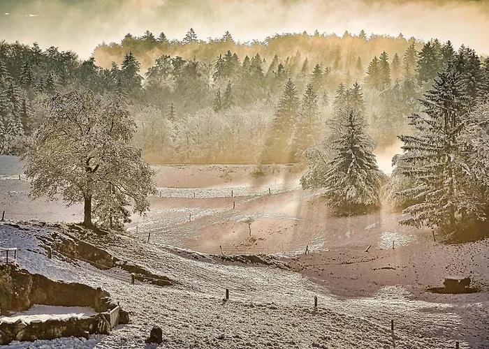 Farm Ana شقة Visnja Gora