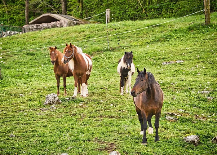 شقة Farm Ana Visnja Gora