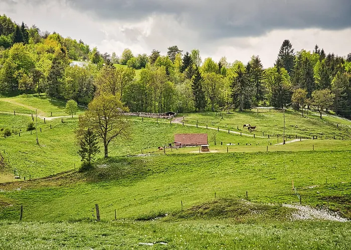 Farm Ana Visnja Gora