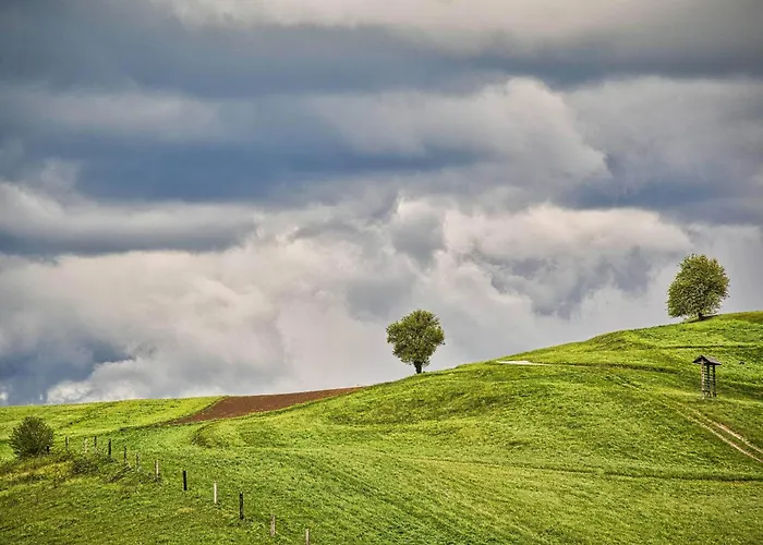 Farm Ana Visnja Gora