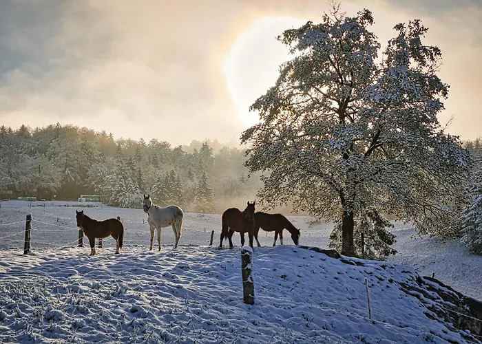 Appartamento Farm Ana *