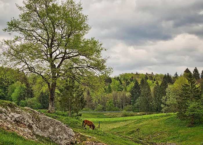 Farm Ana * Visnja Gora